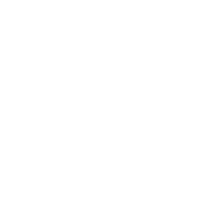合作品牌 33