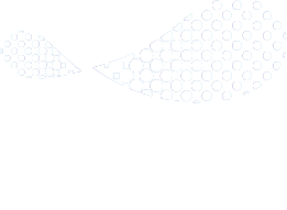 合作品牌 35